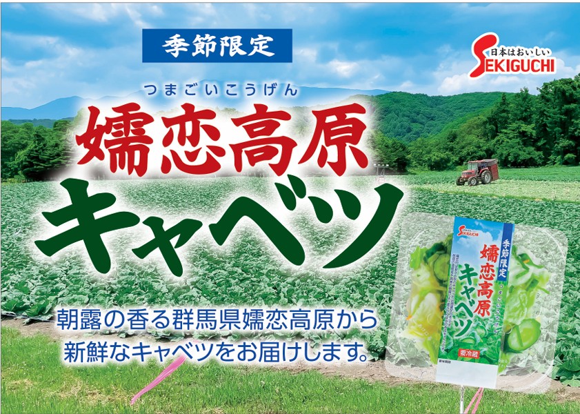 季節限定商品｜嬬恋高原キャベツ | 漬物コラム | 関口漬物食品株式会社